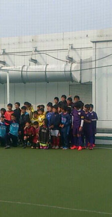 sojカップの画像１