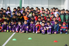 sfカップの画像１