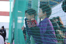 sfカップの画像２