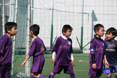 sfカップの画像５