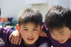 sfカップの画像７