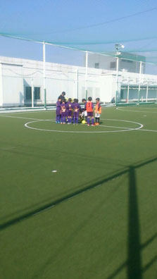 sojカップの画像１