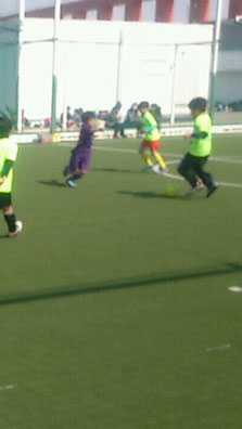 sojカップの画像３