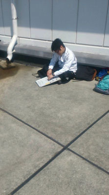 sojカップの画像６